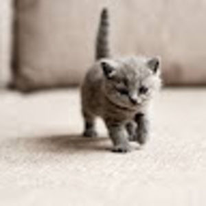 Meet your Posher, Jill